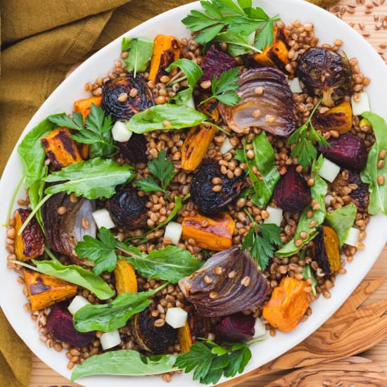 Wheat Berry Harvest Salad