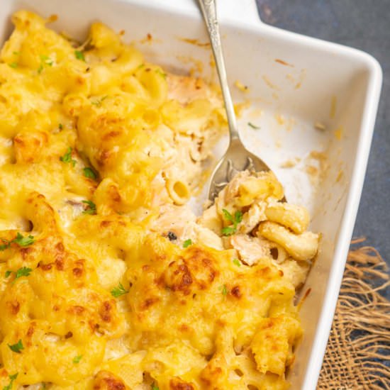 Salmon Mac and Cheese