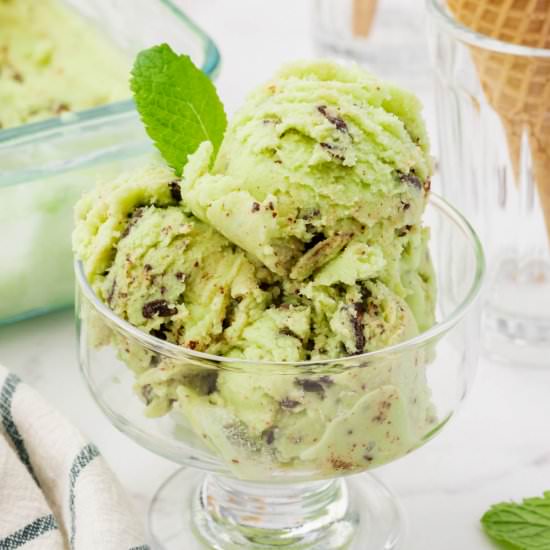 Coconut Mint Ice Cream