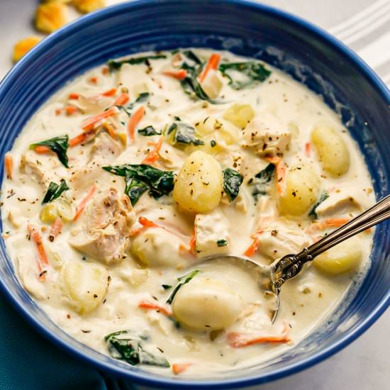Chicken gnocchi soup