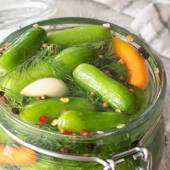 Refrigerator Spicy Baby Dill Pickle