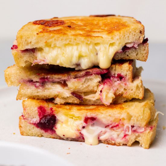 Cranberry Brie Grilled Cheese