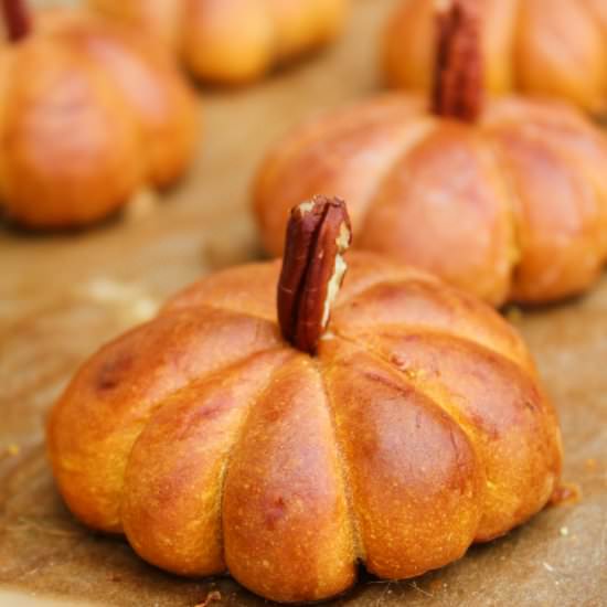 Pumpkin Dinner Rolls
