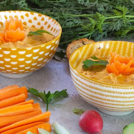 HUMUS DE ZANAHORIAS