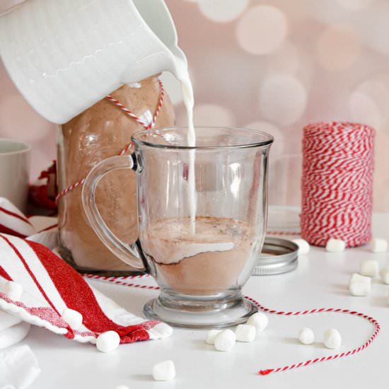 Homemade Hot Cocoa Mix