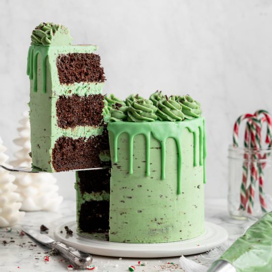 Mint Chocolate Cake