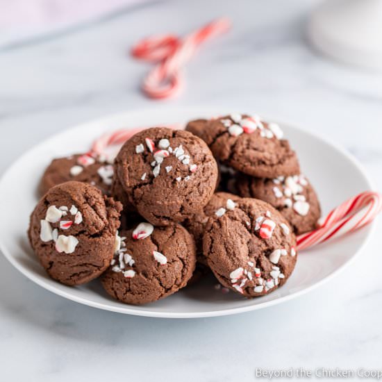 Chocolate Peppermint Cookies
