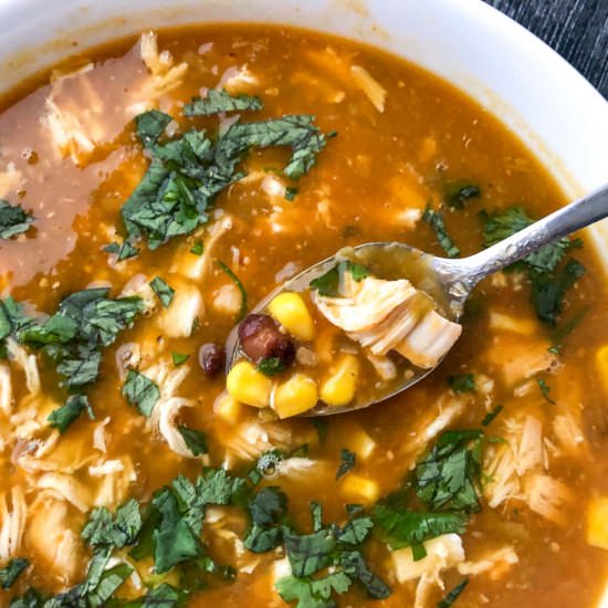 Easy Chicken Enchilada Soup