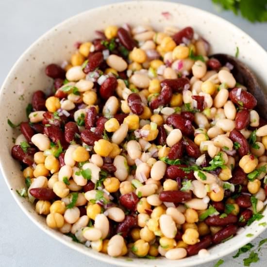 Easy Three Bean Salad Recipe