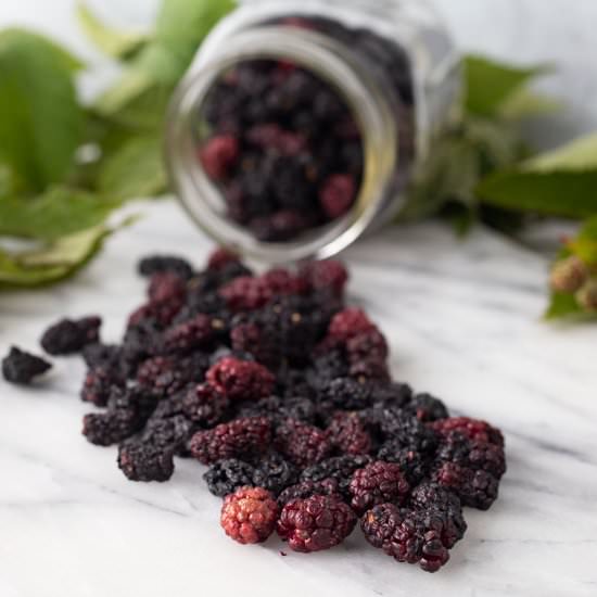 Dehydrating Blackberries