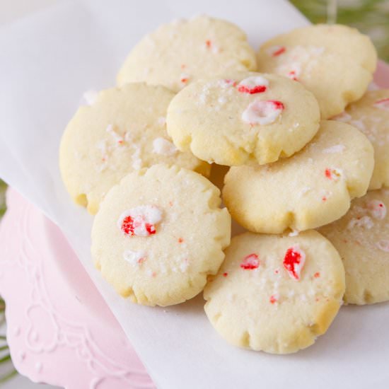 Peppermint Sugar Cookies