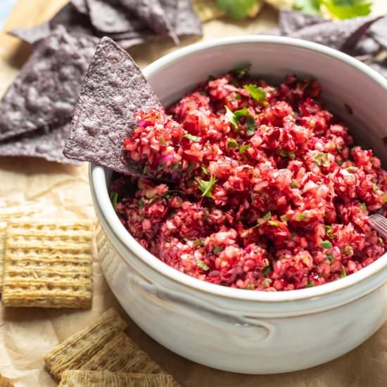 Fresh Cranberry Salsa
