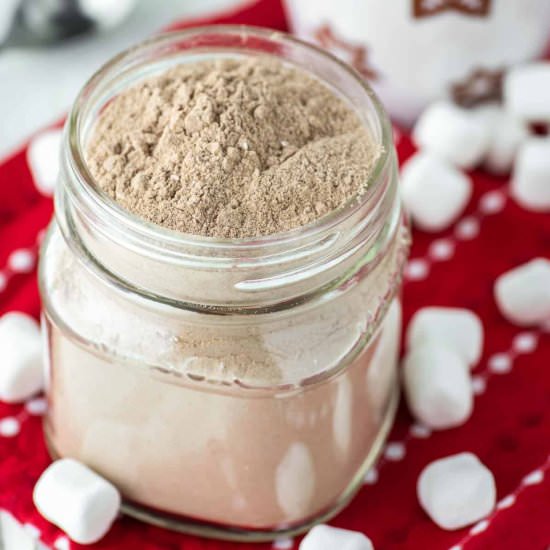 Homemade Hot Chocolate Mix