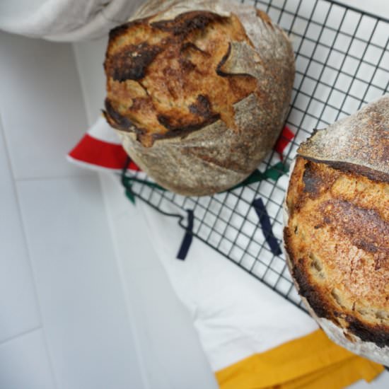 No Knead Sourdough Recipe