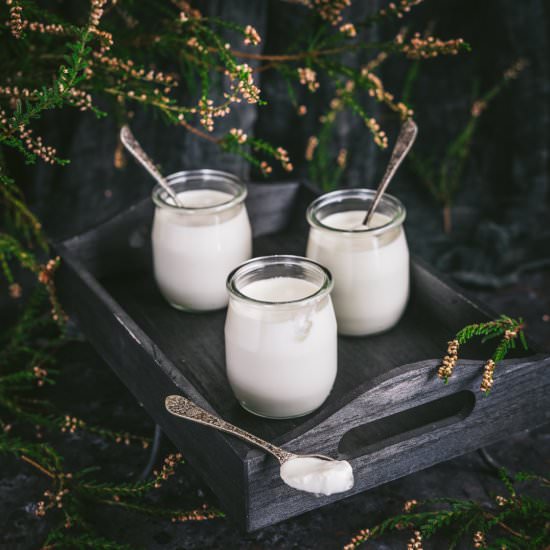 The Simplest Natural Yoghurt