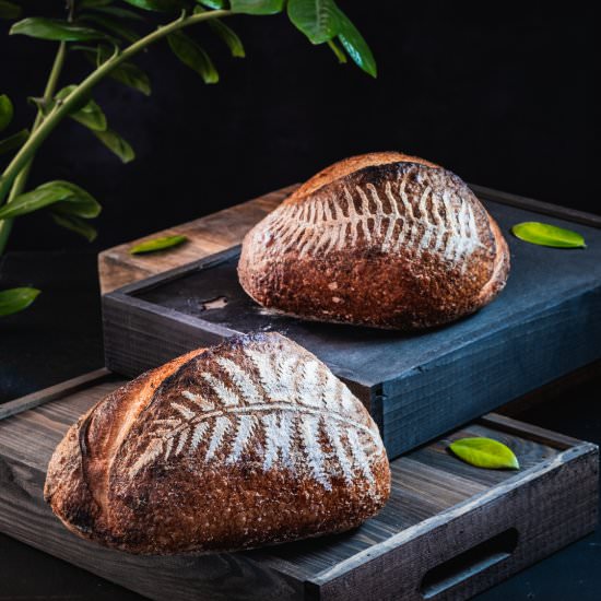 Open Crumb Sourdough Bread