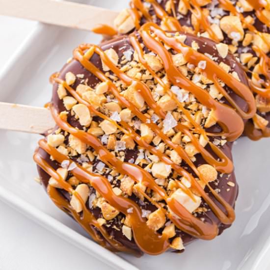Chocolate Covered Apple Slices
