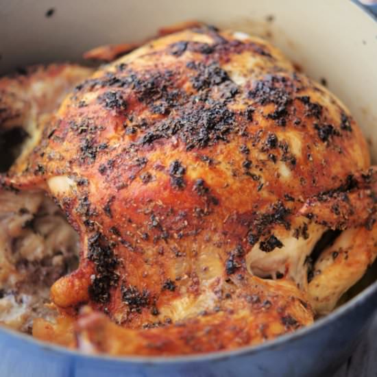 Chicken Oreganata