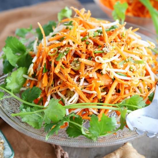Carrot and Beansprout Salad