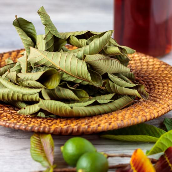 How To Make Guava Leaf Tea