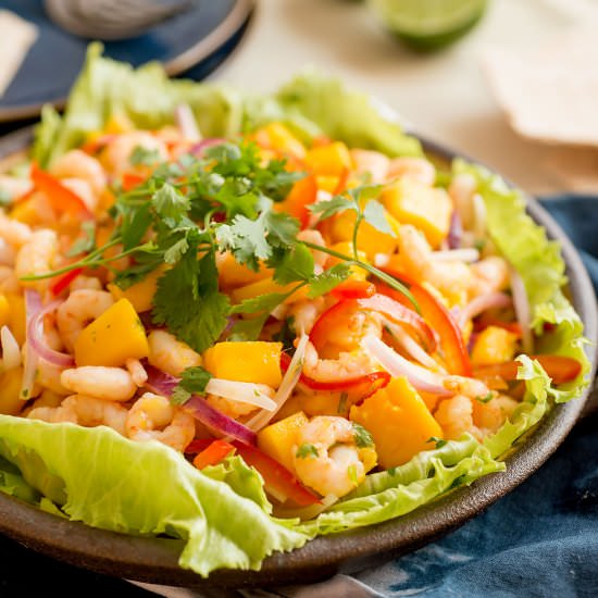 Mango and Shrimp ceviche