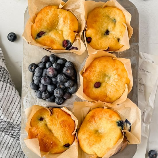 Blueberry Protein Muffins