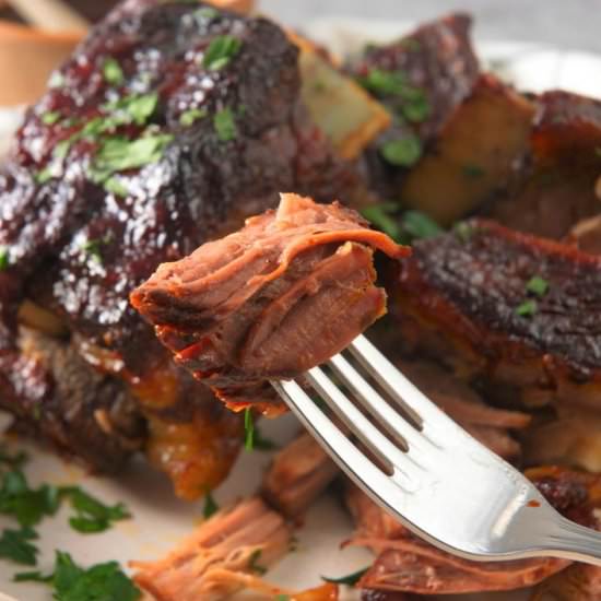 Bison Short Ribs