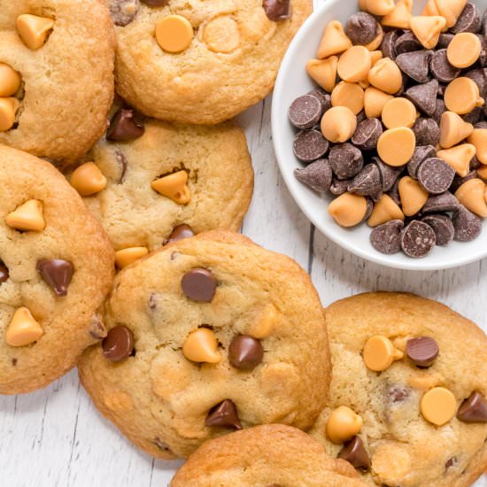 chocolate chip butterscotch cookies