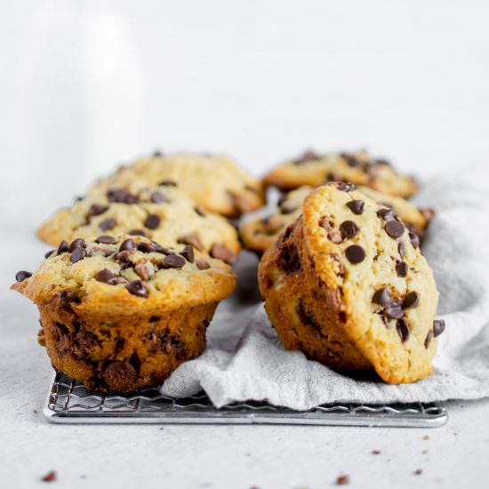 Vegan Chocolate Chip Muffins