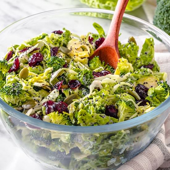 Broccoli Salad with Cranberries