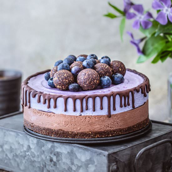 Chocolate Maqui No-Bake Cheesecake