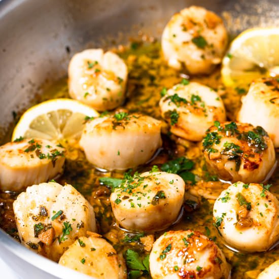 Seared Scallops With Garlic Butter