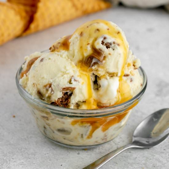 Turtle Ice Cream