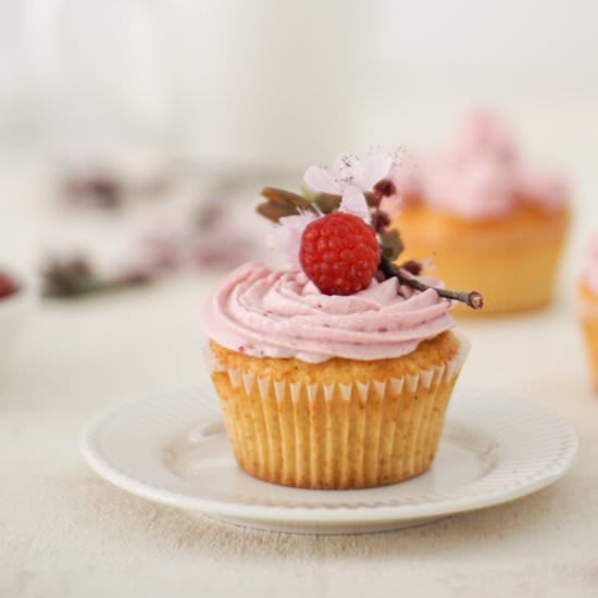 Delicious Raspberry Cupcakes