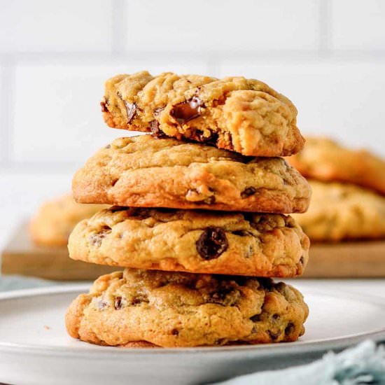 Chocolate Chip Pudding Cookies
