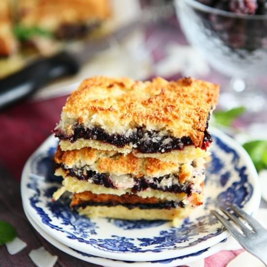 Blackberry Jam Coconut Slices