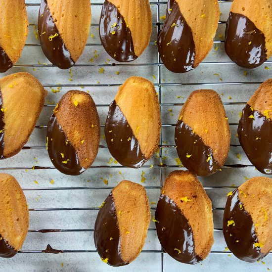 Orange madeleins with chocolate