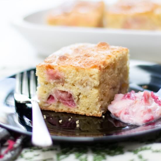 Rhubarb Snack Cake w spices