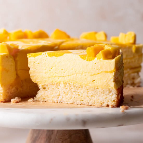 Mango Mousse Cake