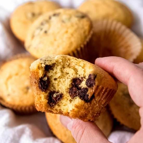 Chocolate Chip Muffins Recipe