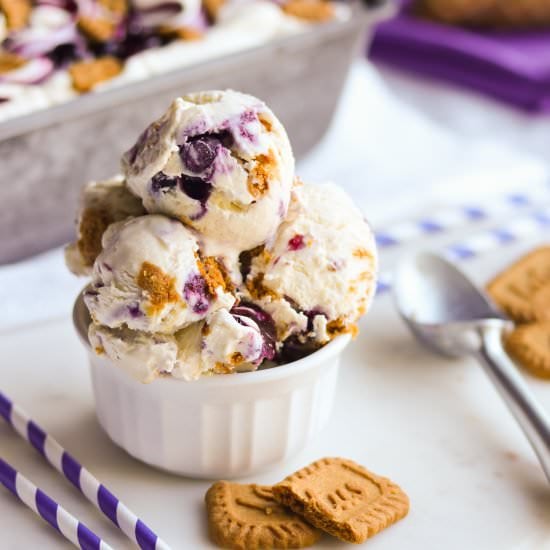 Blueberry Cheesecake Ice Cream