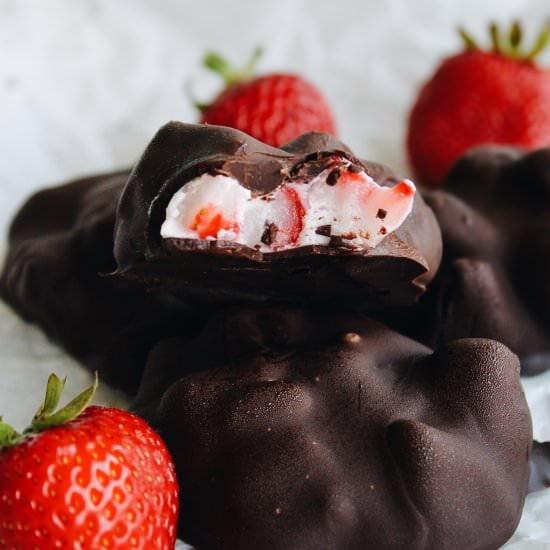 Chocolate Covered Yogurt Bites