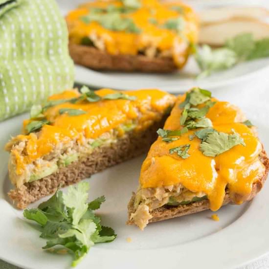 Easy Salmon Melt