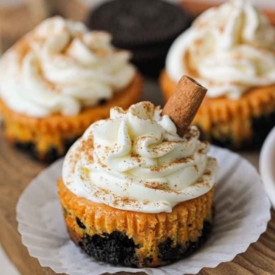 Mini Pumpkin Cheesecakes