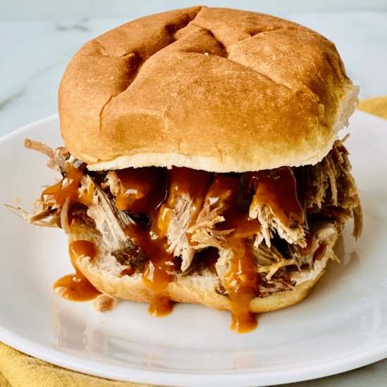 Pulled Pork Burger
