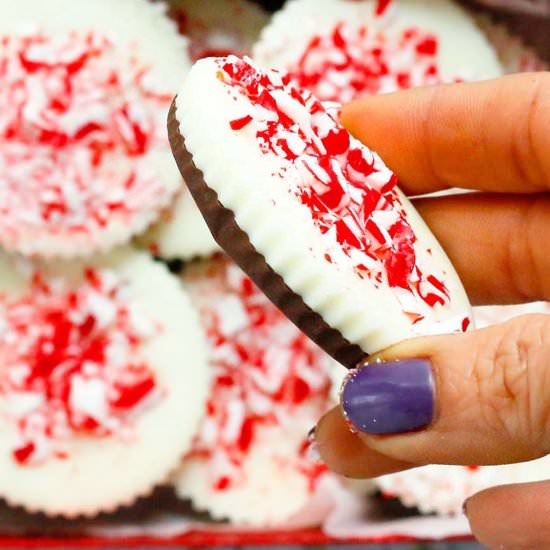 Chocolate Peppermint Bark