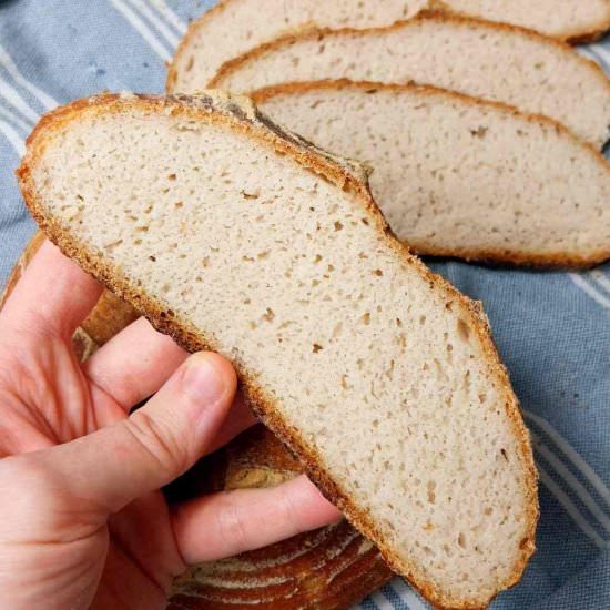 Brown Rice Flour Sourdough (GF)
