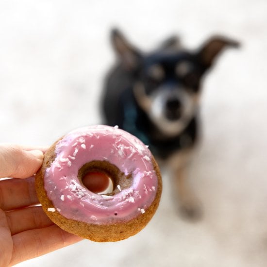 Dognuts (Dog Treat Donuts)