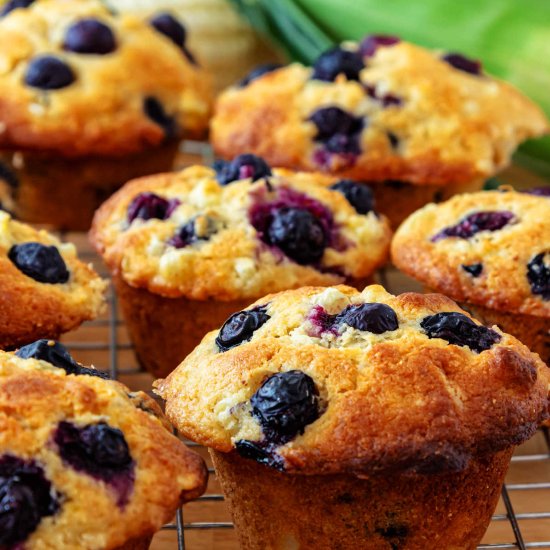 Blueberry Corn Muffins