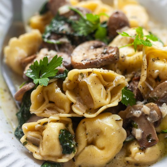 One-Pot Creamy Mushroom Tortellini